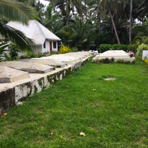 Cook Islands20150203_0005