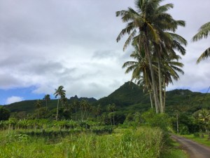 Cook Islands20150205_0007