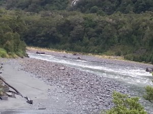 NZ-52