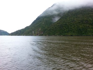 NZ-54