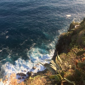 3732CDCB-4F5A-42A6-830D-B182C6AB0503