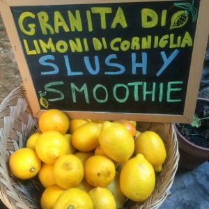 7B32E92D-1B53-4923-9ABF-643BF188ACA9