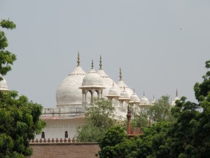 India-24