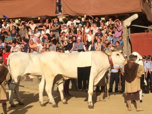 F15B21FF-1F18-488B-B21A-AB5BF9F9A300