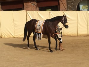 F35D2F82-B28A-4D06-9559-29812CD9D32F