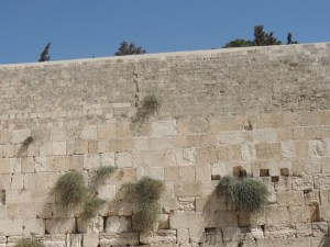 Western Wailing Wall