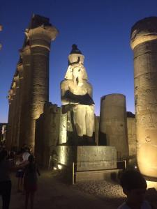 11693921_10207931179988255_56833297297818312_n