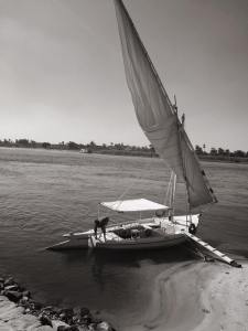 12196241_10207926057420194_4347624479594260934_n