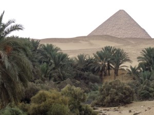 Egypt-9